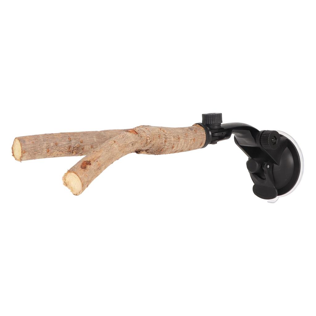 Bird Branch Perch Stand Training Interactive Prevent Slip Wooden Parrot Perch with Suction Cups for
