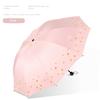 Extra Large Double Ten-Bone Reinforced Thickened Umbrella Dual-Use Girl Sun Protection UV Sun Umbrella Folding