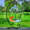 Hydroponics Hanging Mini Fish Tank With Stand Vase Fish Tank Transparent Glass