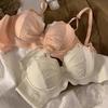 French Underwear Women's Small Breasts Gather Flat Breasts and Show Large Steel Rings, Anti-sagging Pure Desire, Sexy Lace Bra Cover Set