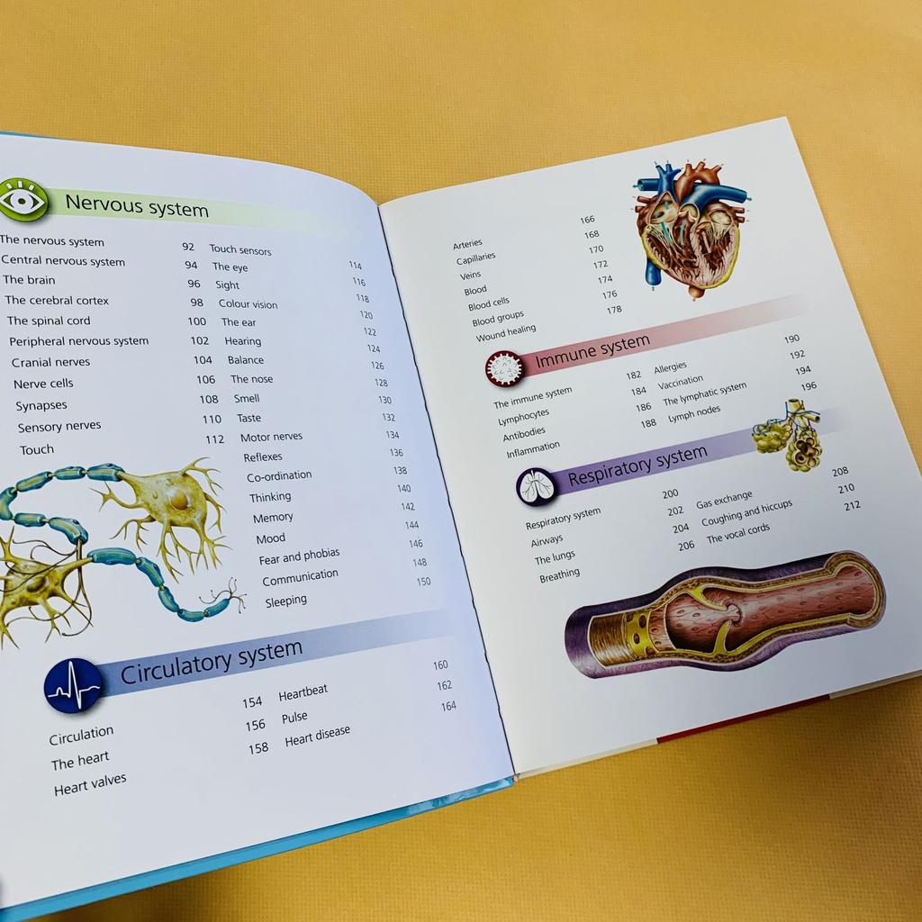 Genuine book Miles Kelly English Children's Encyclopedia Teenagers' Popular Science Knowledge Reading