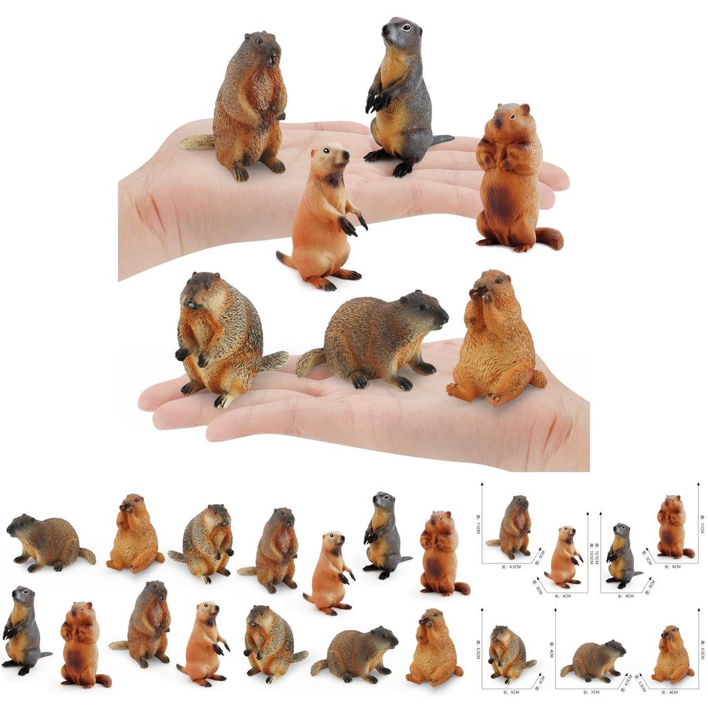 Entzückende PVC-Eichhörnchen-Modellsammlung mit lebensechten Details für Kinder