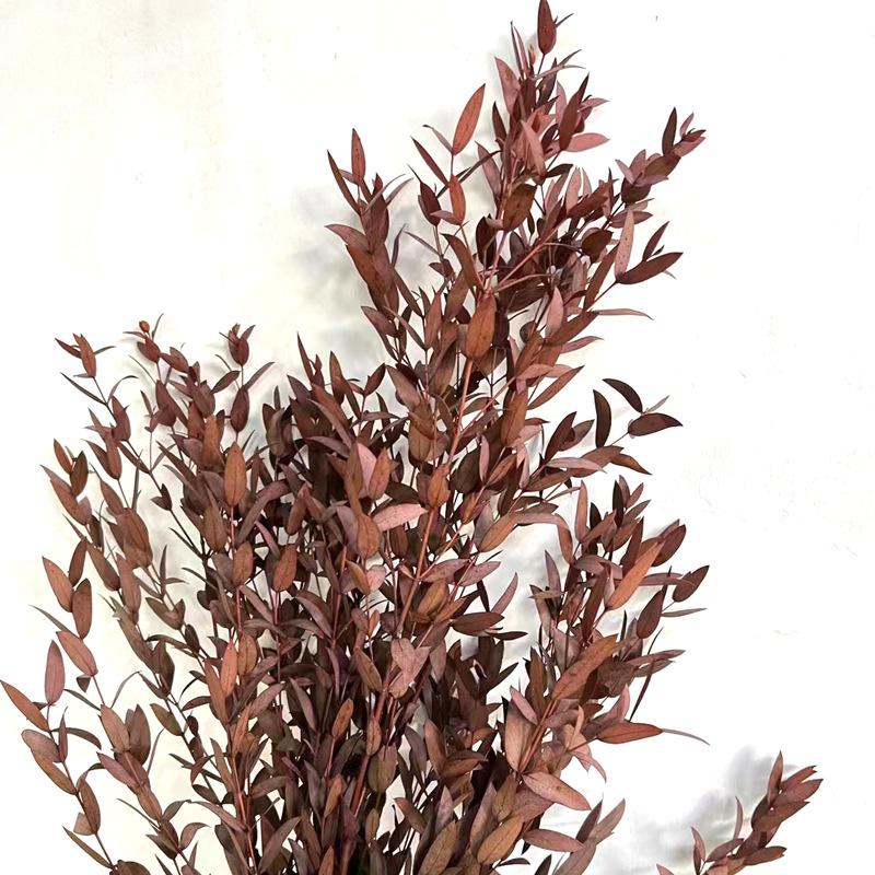 

Эвкалипт тонкие листья 120 г Листья эвкалипта Мори для дома, цветочная композиция, свадебная сцена, мягкое украшение с листьями эвкалипта