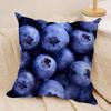 Fresh Food Anime Health Cushion Cover Silky Short Plush DoubleSided Printed Pillow Case for Sofa All Seasons Home Decor Gift