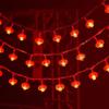 Pailide Snowflake Gourd Chinese Knot Christmas String Lights