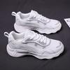 Dad Shoes Women's Spring and Summer 2025 New Trendy Versatile Student Sports Shoes Women's Casual Breathable Mesh Running Shoes