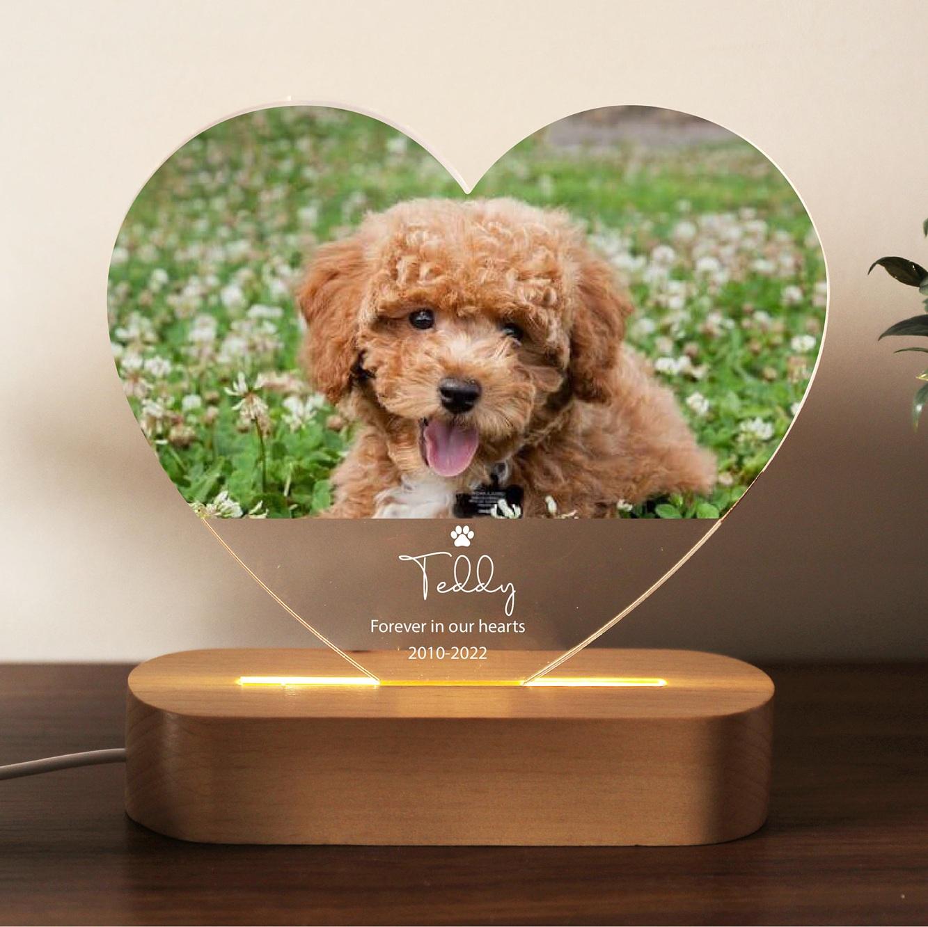 

Heart Dog Memorial Frame Pet Custom Acrylic Photo Plaque Personalized Bedroom LED Decor Sign Light up Birthday Gift for Pets 3 Colors Base