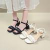 Fashion Shoes Ladies' Slippers Square Heel Slipers Women Soft Block 2025 Slides Scandals Spring Square Heel Female Shoes Womens Slippers