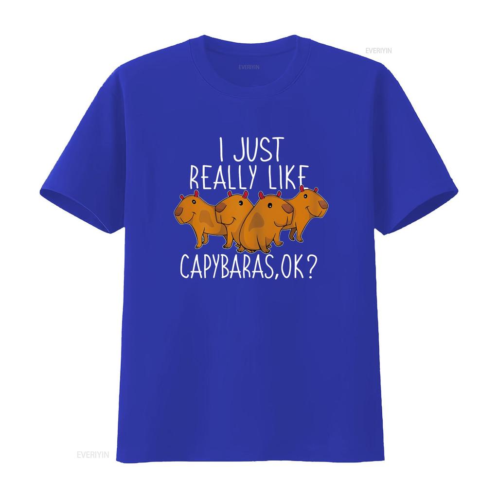 Capybara Lover Cute T Shirt  vintage Washed Casual streetwear Soft graphic homme Stylish designer clothes Versatile Stretched