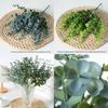 Robusta Smith Eucalyptus Foliage Decor Home And Event Styling Material Pvc