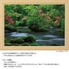 Yanoman [Made In Japan] 108-Piece Jigsaw Puzzle, Large Pieces, Japanese Landscape: The Refreshing Oirase Gorge, Aomori (26x38cm), 01-2086, Includes
