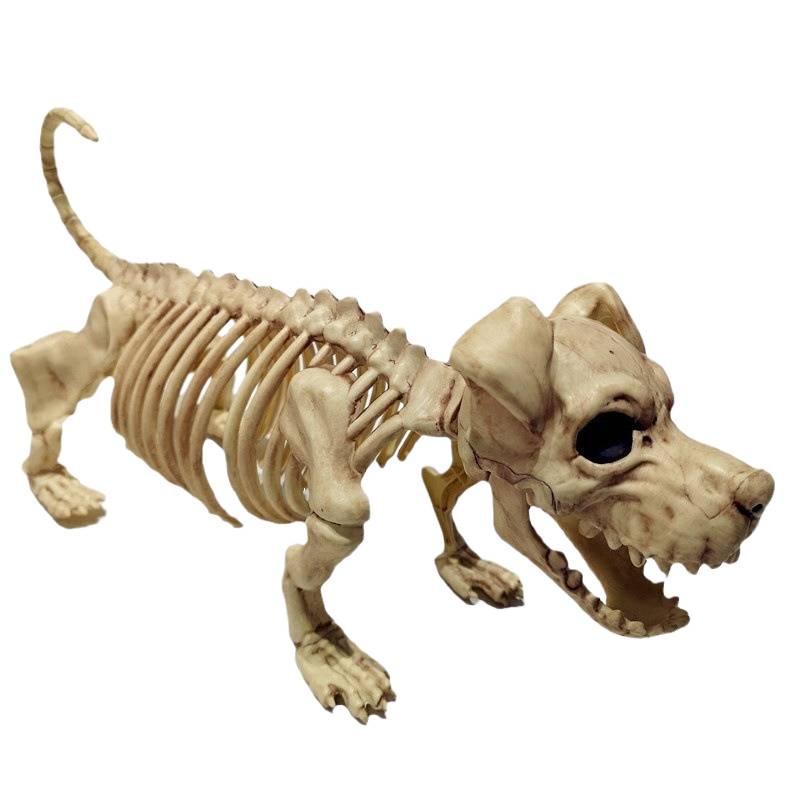 Halloween Skeleton Animal Set: Bat, Spider, Scorpion, Mouse, Snake, Toad & Haunted House Props