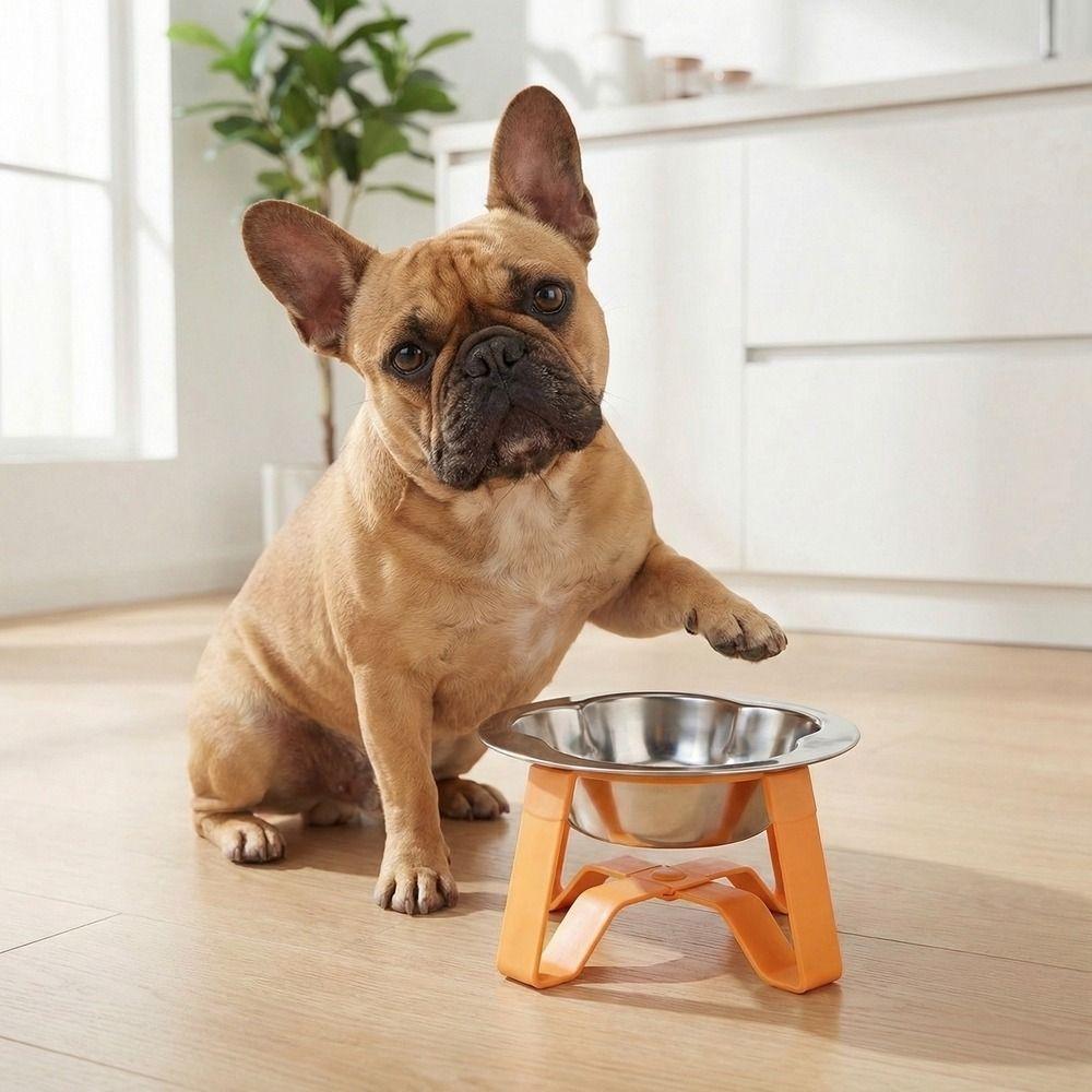 Large Diameter Pet High Footed Bowl Detachable Dog Drinking Bowl  Dog Accessories