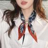 Accessori – Sciarpe e foulard