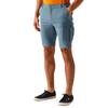Regatta Mens Bendrick Shorts