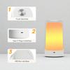 Portable Touch Control Table Lamp Dimmable RGB USB Color-Changing Cozy Mood Light for E-sports Party Venues