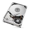 Seagate SkyHawk AI 10TB Surveillance Hard Drive