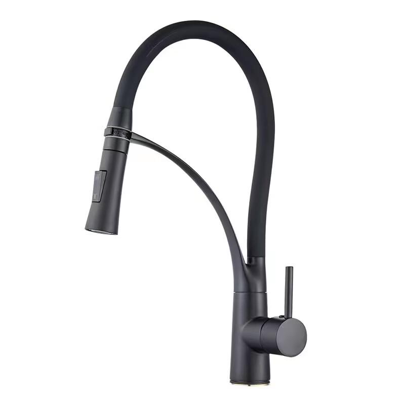 TLXT Black Wall-Mounted Kitchen Faucet