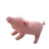 1 stuks 25cm Levensecht Schattig Cartoon Varken Pluche Speelgoed Knuffeldier Zacht Dier Varken Pop voor Verjaardagscadeau Speelgoed Kawaii Cadeau voor Meisjes