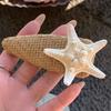 Sponka do vlasů Přírodní sláma 3D design hvězdice Klip na ofinu Stabilní upínací síla Pláž Každodenní život Vlasové doplňky