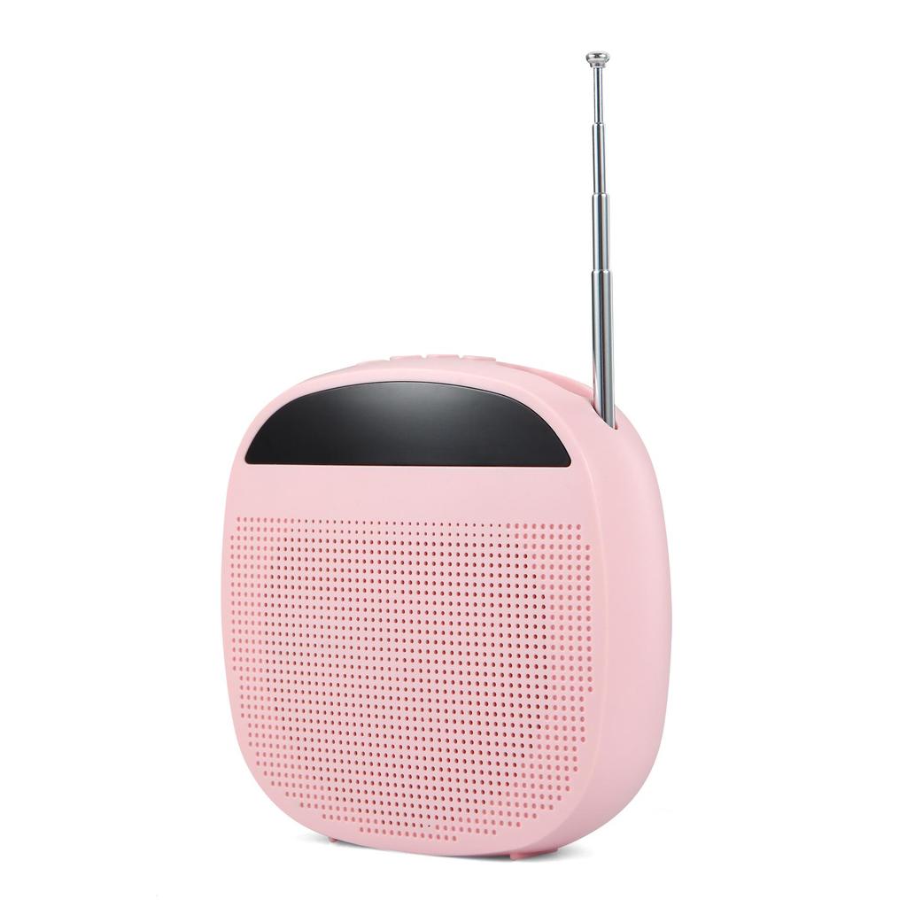 Alto-falante Sem Fio Portátil Little Bee com Microfone de Lapela para Professores e Eventos de Dança