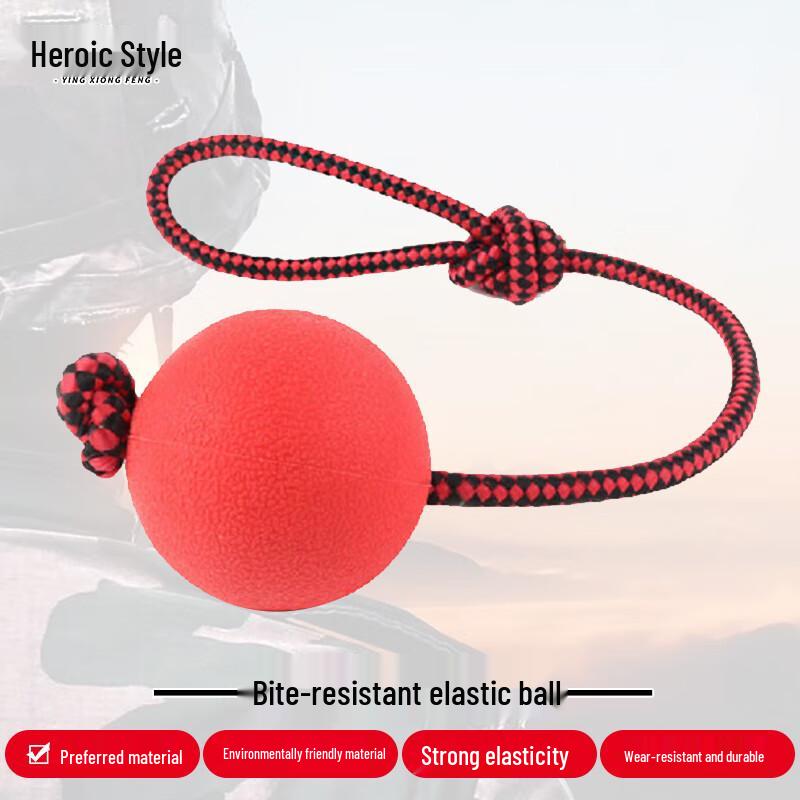 Hero Durable Dog Training Ball with Rope
