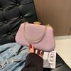 2024 New Spring Beautiful Casual Fashion Evening Bag Women's Bag Chain Handbag