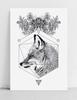 Black and White Fox Poster