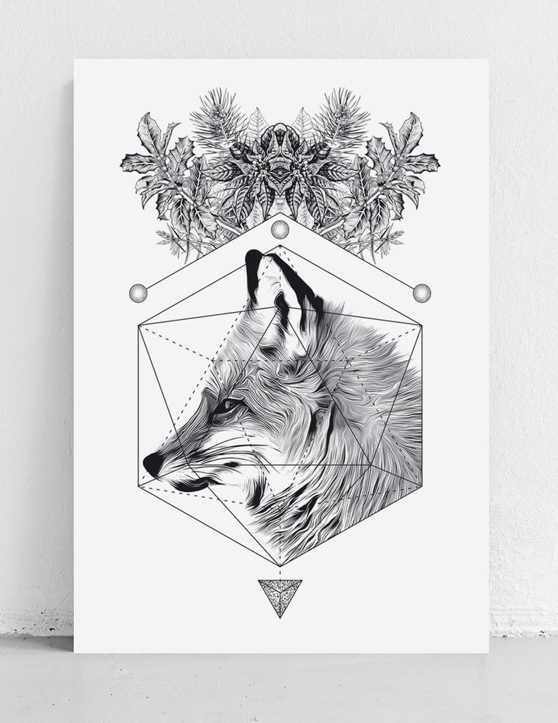 Black and White Fox Poster