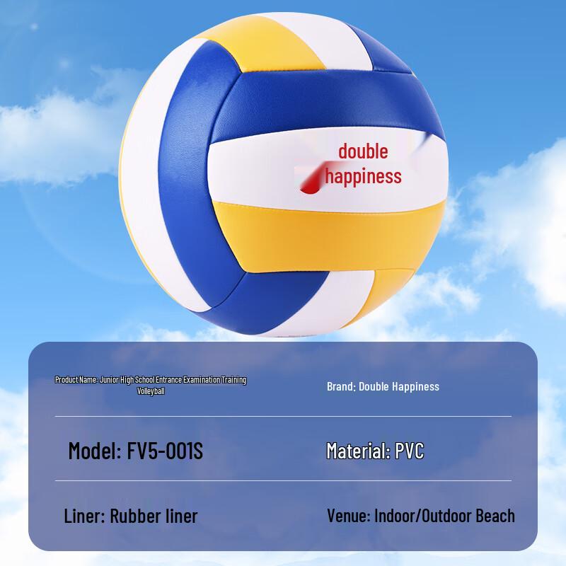 DHS Competition & Training Volleyball - Size 5