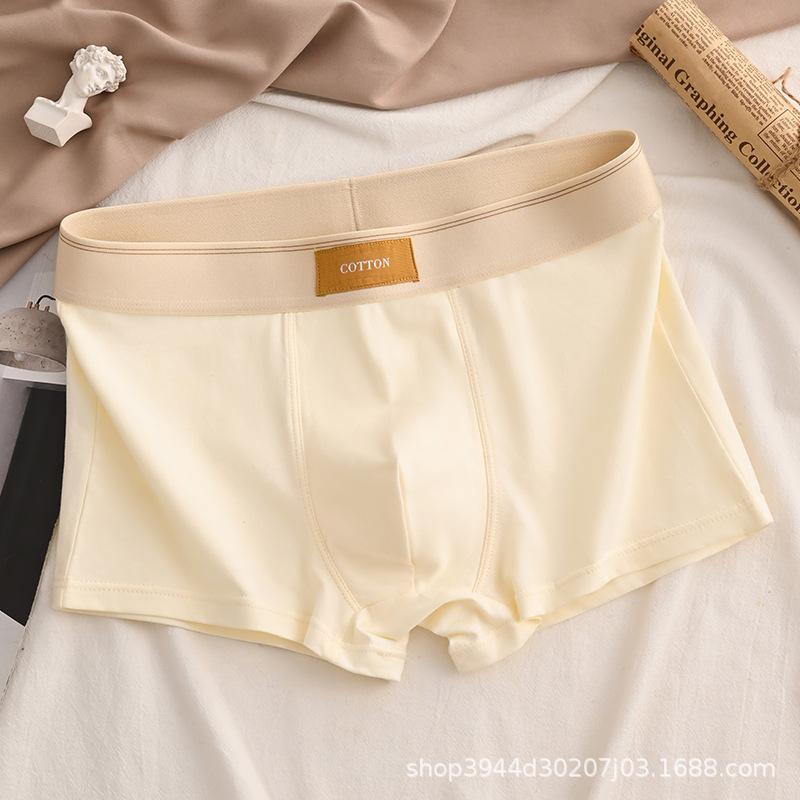 Luxury Men Underpants Man Cotton Breathable Comfortable Boxer Selling Shorts Men's Panties Plus Size Panties Underwear Gift
