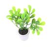 1:12 Doll House Mini Potted Small Green Plant Decoration Ornaments