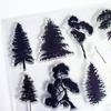 Sazenice stromů Průhledná Clear razítka Silikonová těsnění Válečkové razítko pro DIY Scrapbooking Fotoalbum.