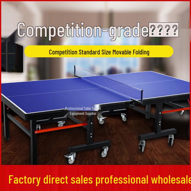 Zhanming Foldable Indoor Ping Pong Table