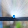 50/100Pcs Blue Adjustable Flow Rate Dripper Agricultural Garden Potted Plants Irrigation 4~14 L/H Pressure Compensating Dripper