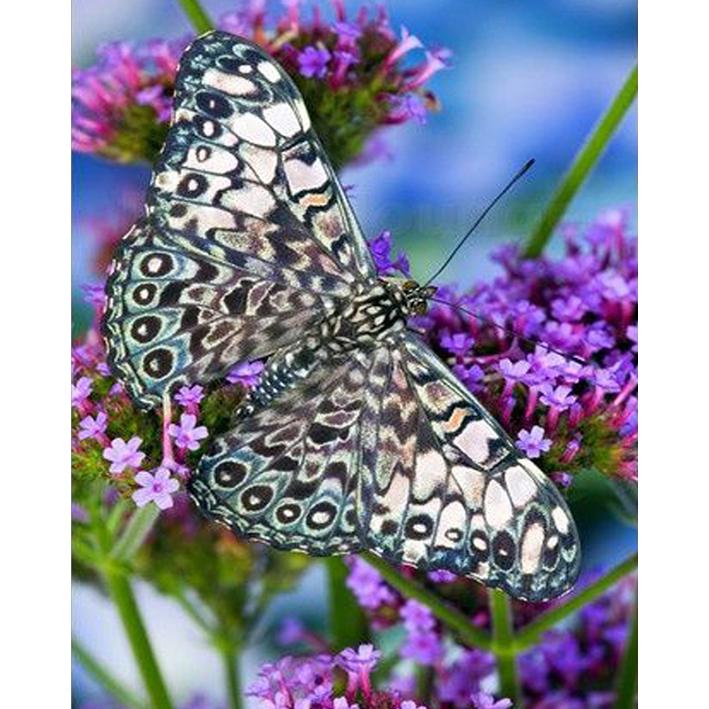 

DIY алмазная живопись, полная круглая дрель, вышивка крестиком, картина, вышивка, ремесло, Новое поступление, мозаика со стразами, мозаичные украшения для дома 15x20CM