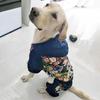 Winter Dog Coat Medium Large Breeds Golden Retriever Border Collie Samoyed Thick Warm 4-Legged Hooded Cotton Jacket