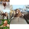 Adorabile Leone Peluche Vivace Morbido Coccoloso Peluche Perfetto Per Bambini Come Regalo