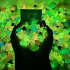 10pcs Luminous Animal Blind Bag Cute Simulation Animal Model Mini Blind Box Toys Kids Gifts Surprise Blind Bag Random