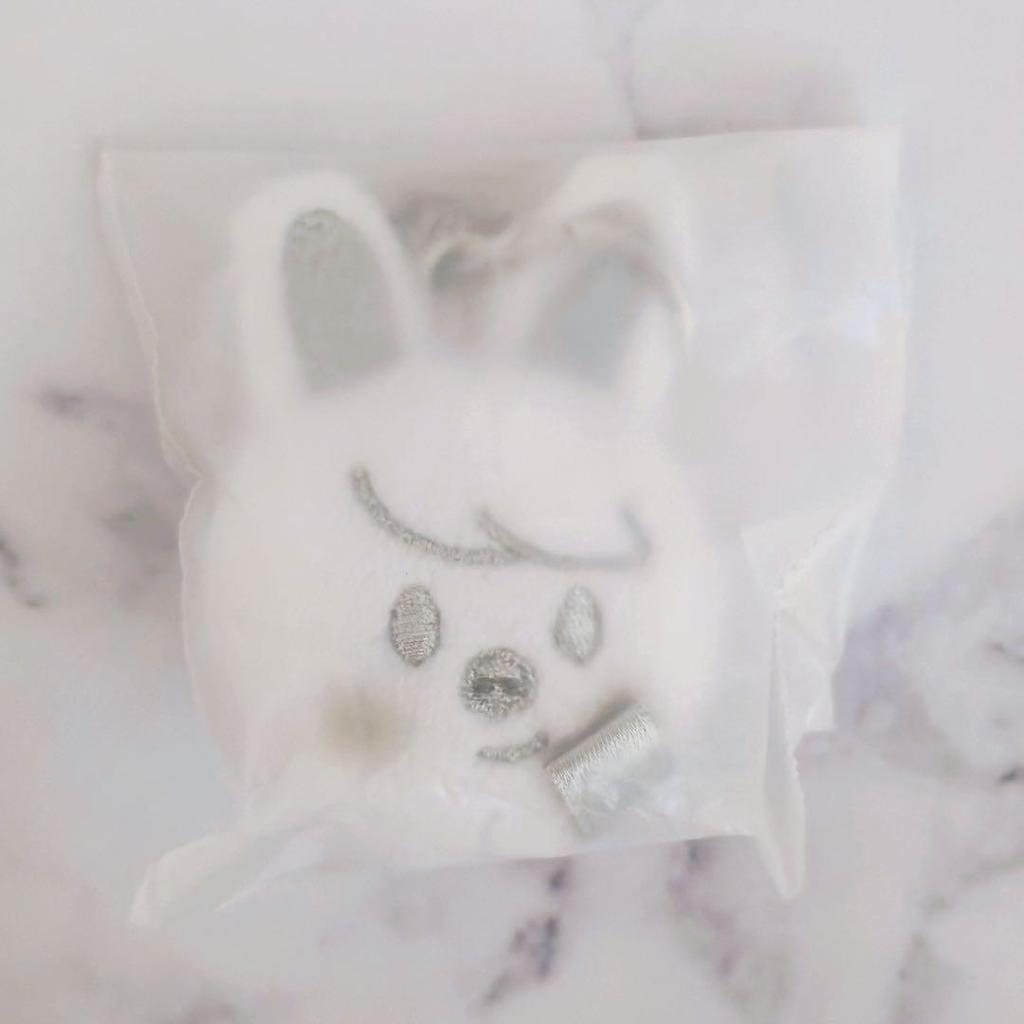 [USED] Stray Kids Korean Pop-Up Face Keyring Silver Changbin