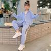 Spring Autumn Teen Girls Clothing Sets Fashion Zipper Sweatshirt + Pants 2Pcs Sports Suit Kids Tracksuit 5 6 8 10 12 14 Year