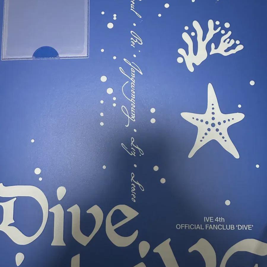 

IVE Dive 4 Набор фаната Фан-клубный набор Запечатанный