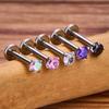 10 Stück ASTM F136 Titan 2/2,5/3/4mm CZ Labret Stud 16G Tragus Helix Knorpel Conch Flatback Ohrläppchen Piercing Körperschmuck