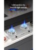 Royalstar Double Burner Tabletop Gas Stove for Natural and Liquefied Gas