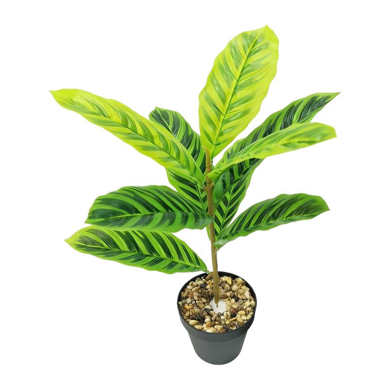 Desktop Rubber Tree & Aspidistra Potted Plant - Bionic Green Landscape Ornament