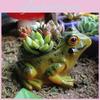 Creative Miniature Garden Planter With Cute Frog Figurine For Home Decor And Giftgiving