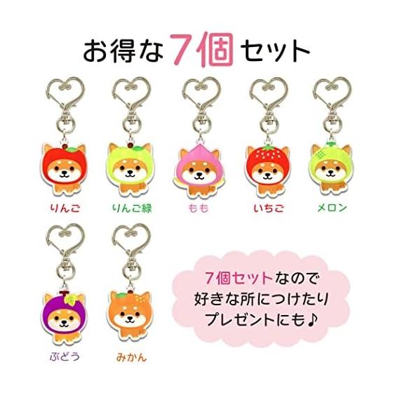 [LamPlanning] Traveling Mameshiba Acrylic Key Holder Charm Shiba Inu Mame Shiba Cute Character Mascot Made In Japan