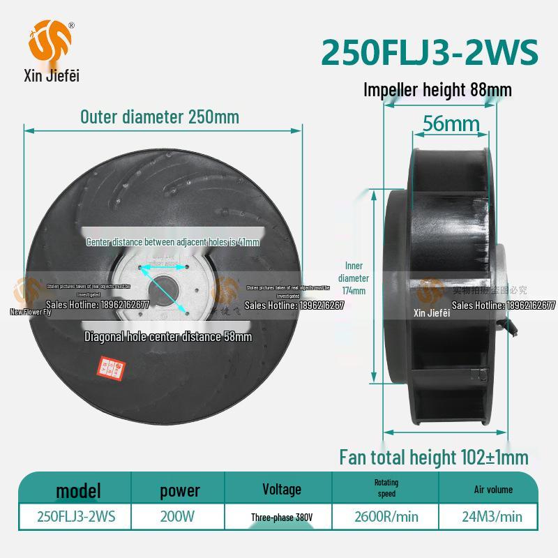 

250FLJ3-2WS 200W External Rotor Fan with Vortex Inverter & Pure Copper Core
