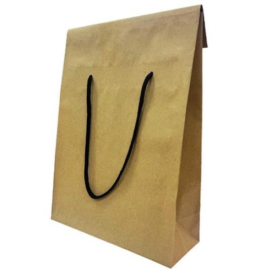 Ehime Paper Geschenkpapier-Papiertüten mit Deckel-Packung, 10, GBAG-FUTA-10P