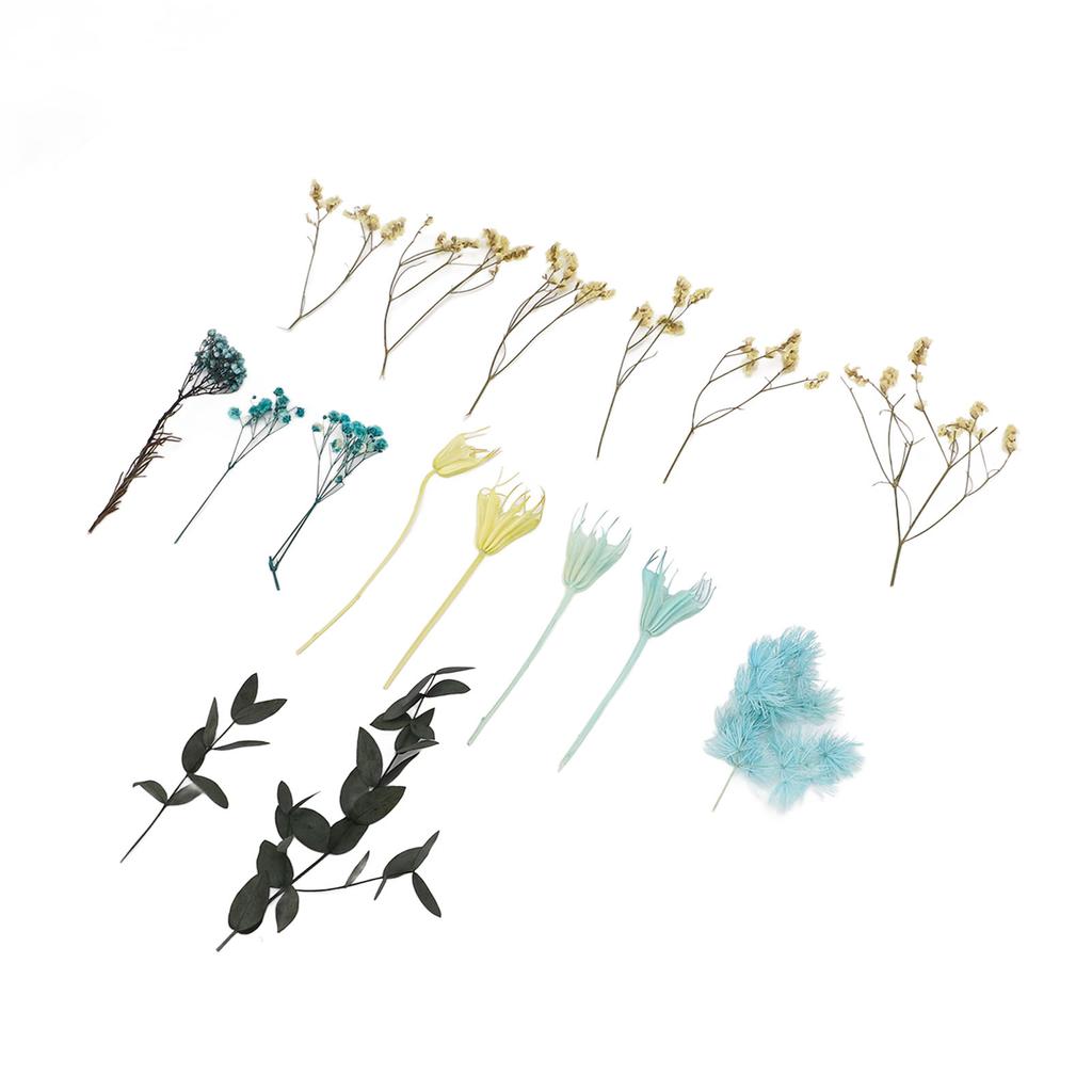 Dried Flowers Natural Odorless Exquisite Bouquet Making Materials DIY Dried Flowers for Tabletop Party Decoration